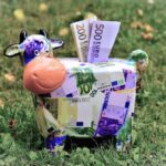 Jakie są ryzyka i korzyści z lokat walutowych? lokaty walutowe korzysci wady